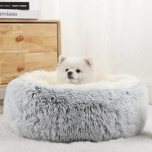 Pet Bed