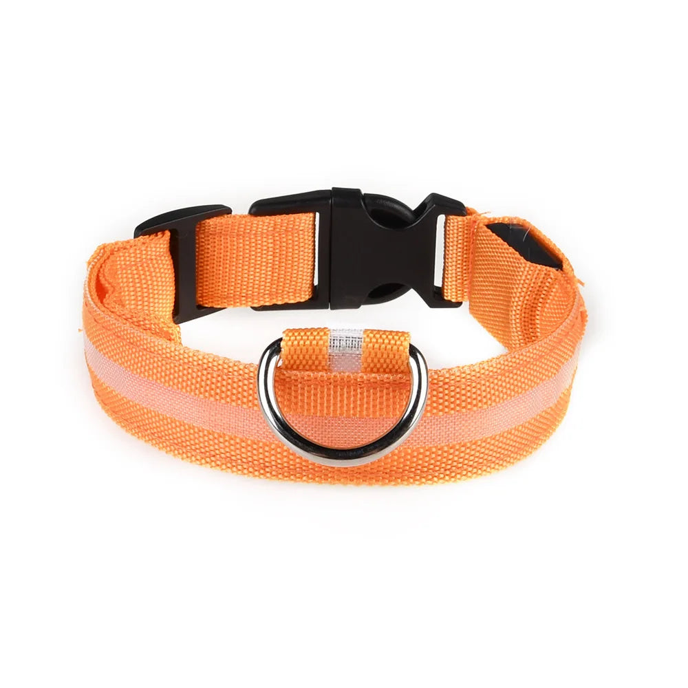 LED Pet Collar