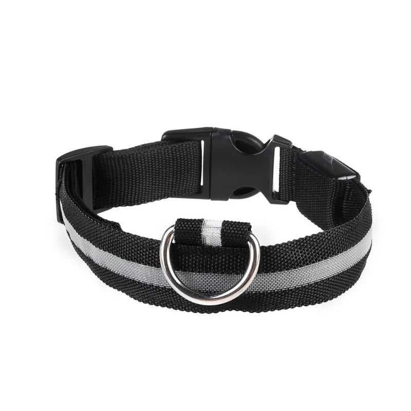 LED Pet Collar