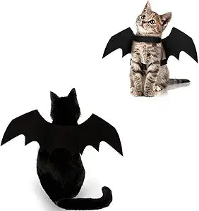 Halloween Costume