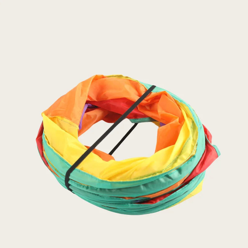 Cat Tunnel Toy