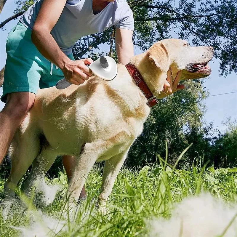 Smart Pet Brush