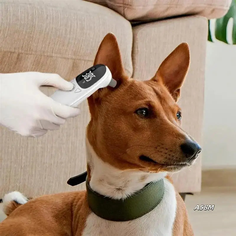 Pet Ear Thermometer