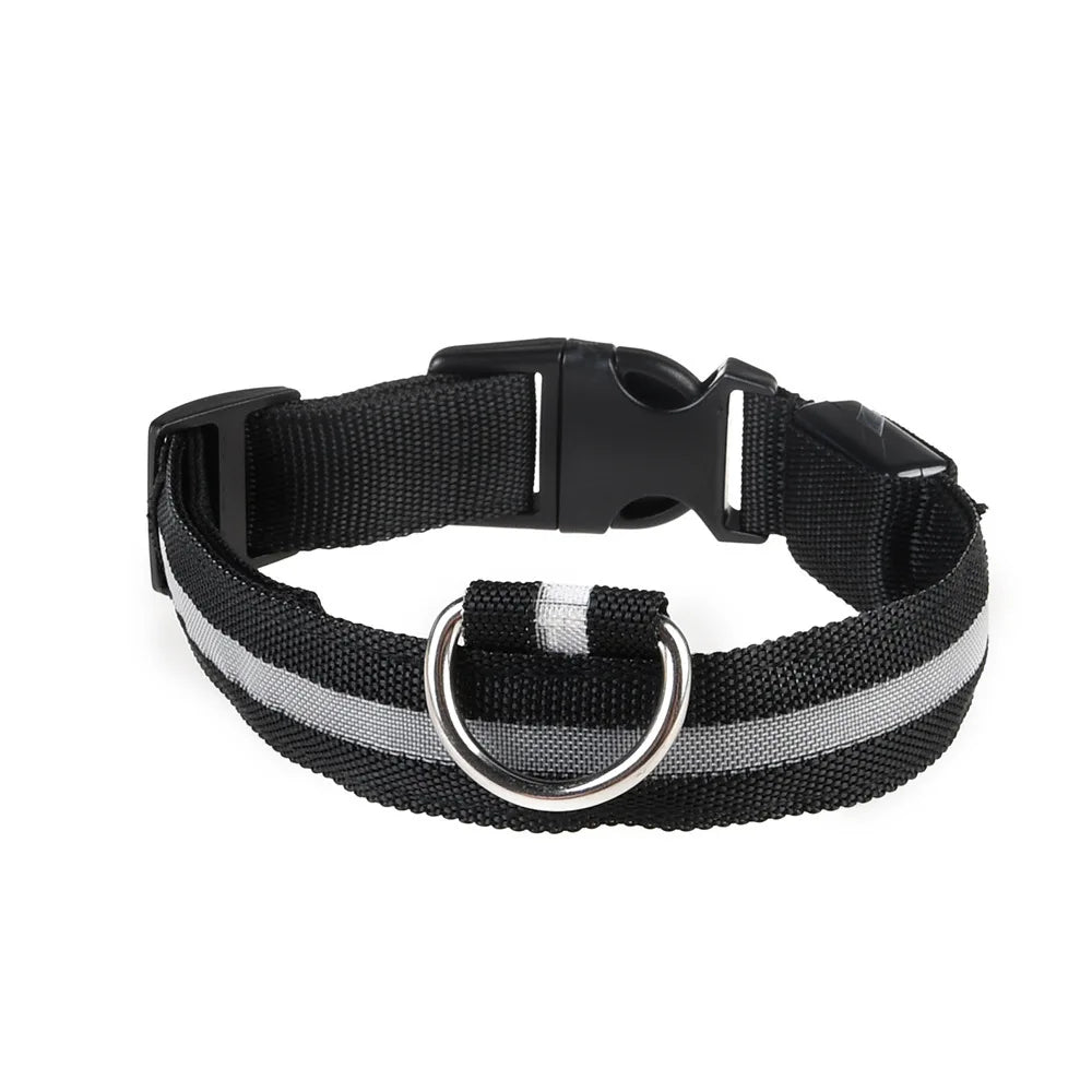 LED Pet Collar