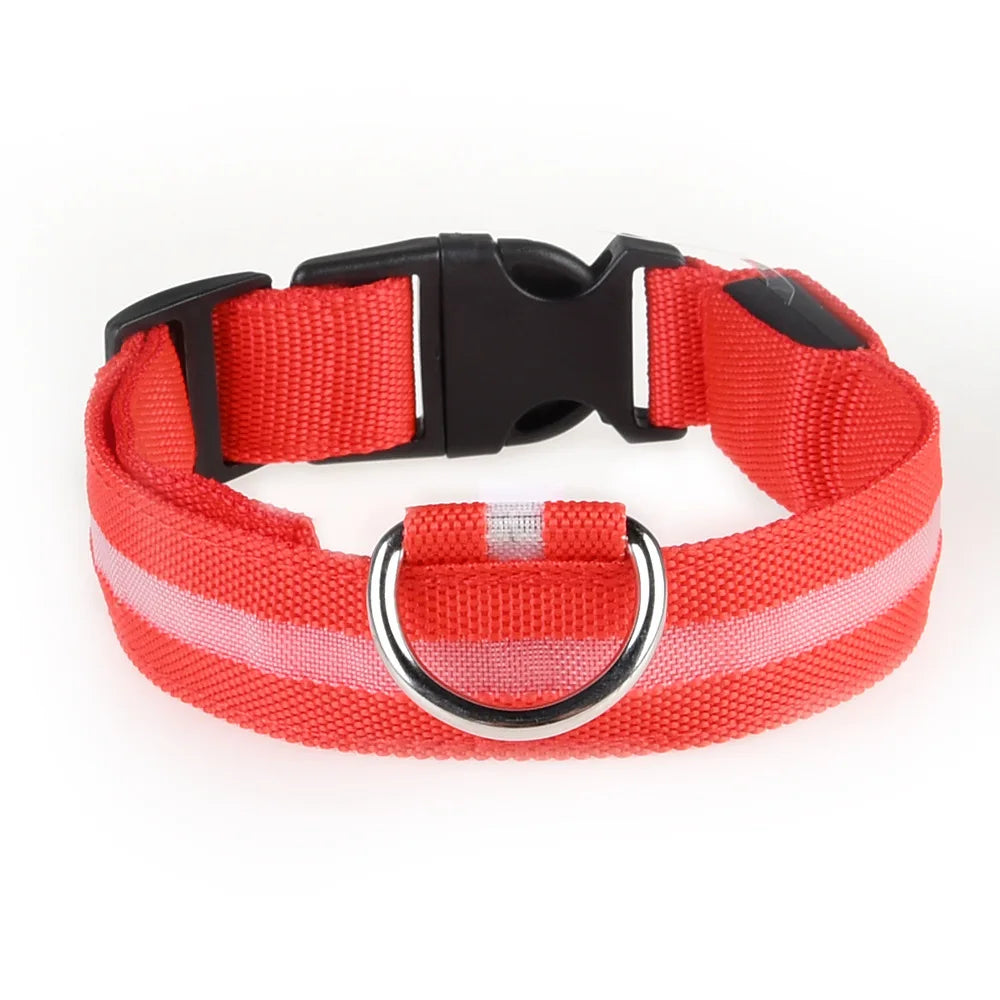 LED Pet Collar