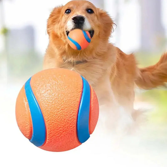 Fetch Ball