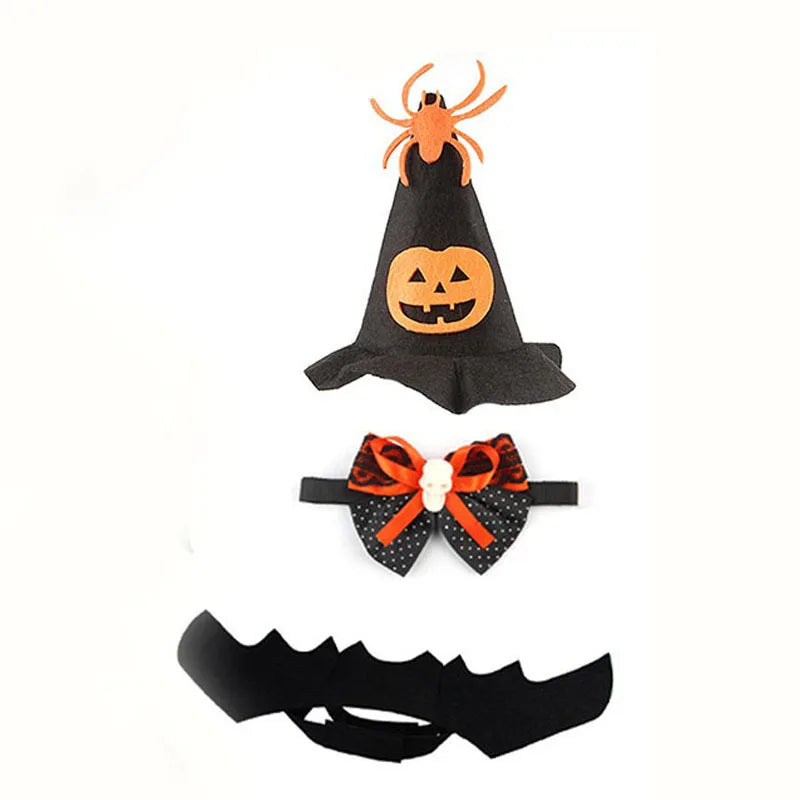 Halloween Costume