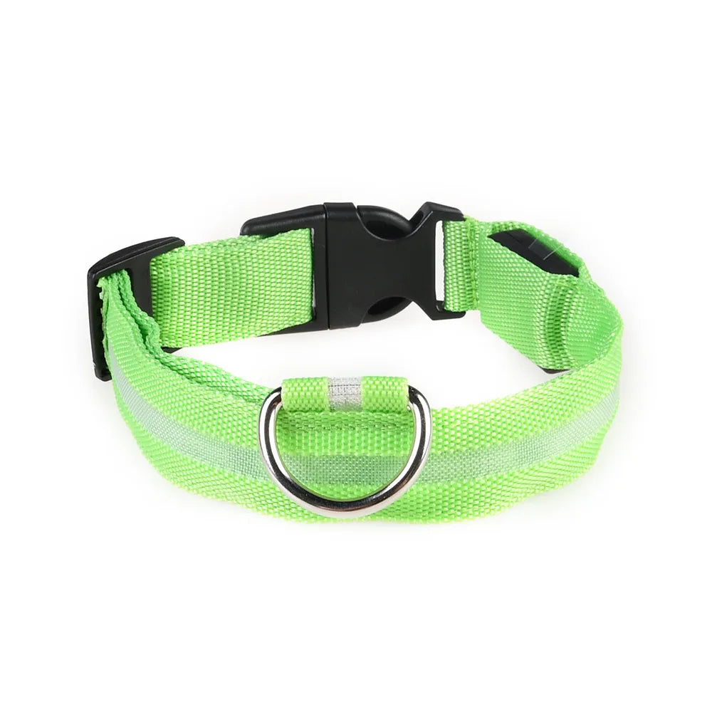 LED Pet Collar