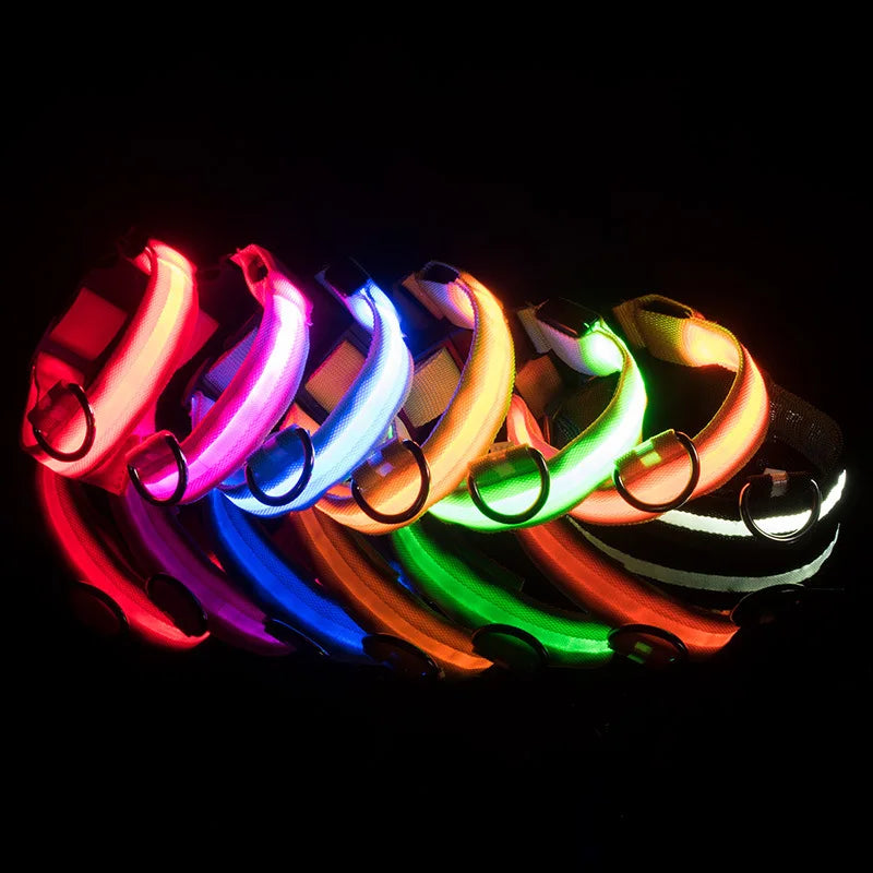 LED Pet Collar