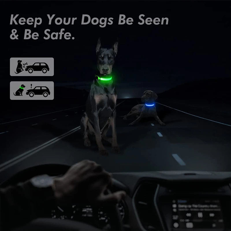 LED Pet Collar