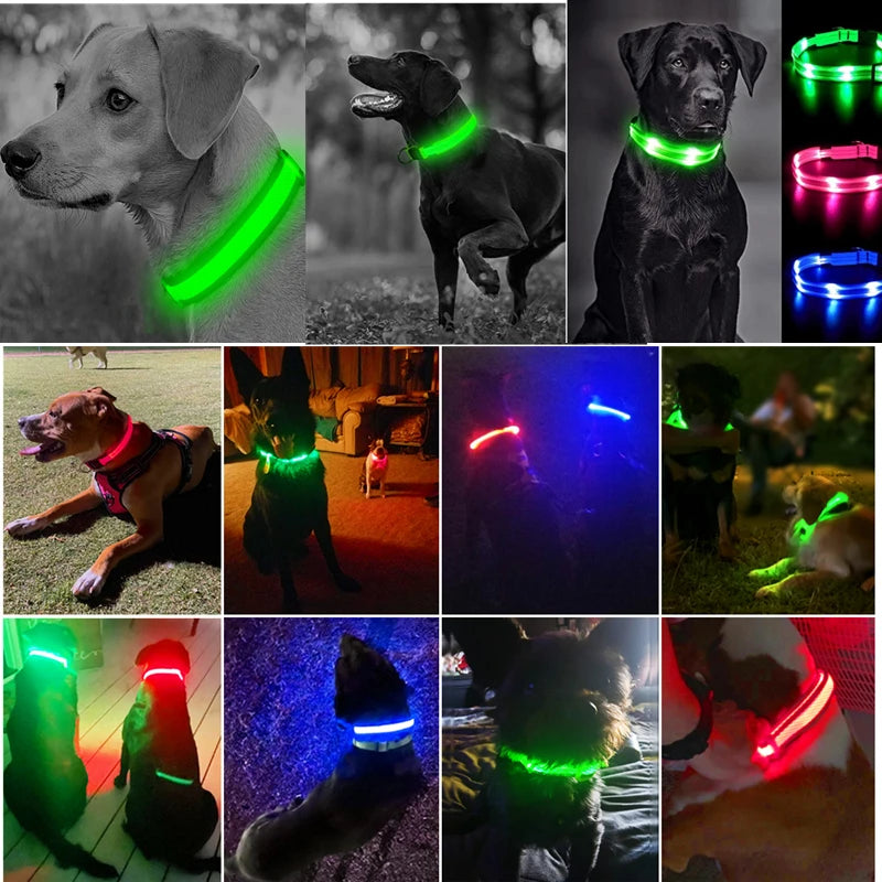 LED Pet Collar