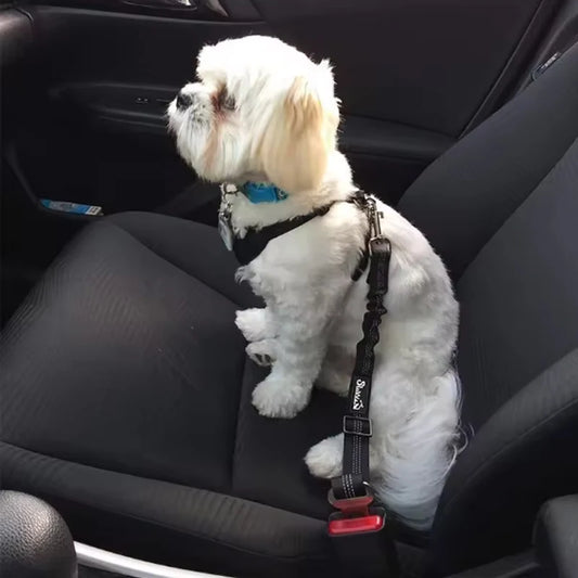 Pet Seat Belt