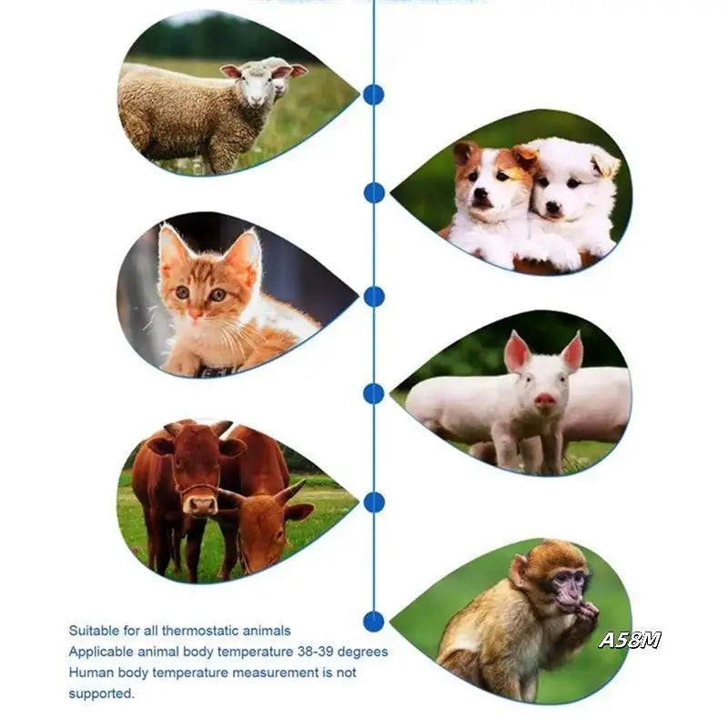 Pet Ear Thermometer
