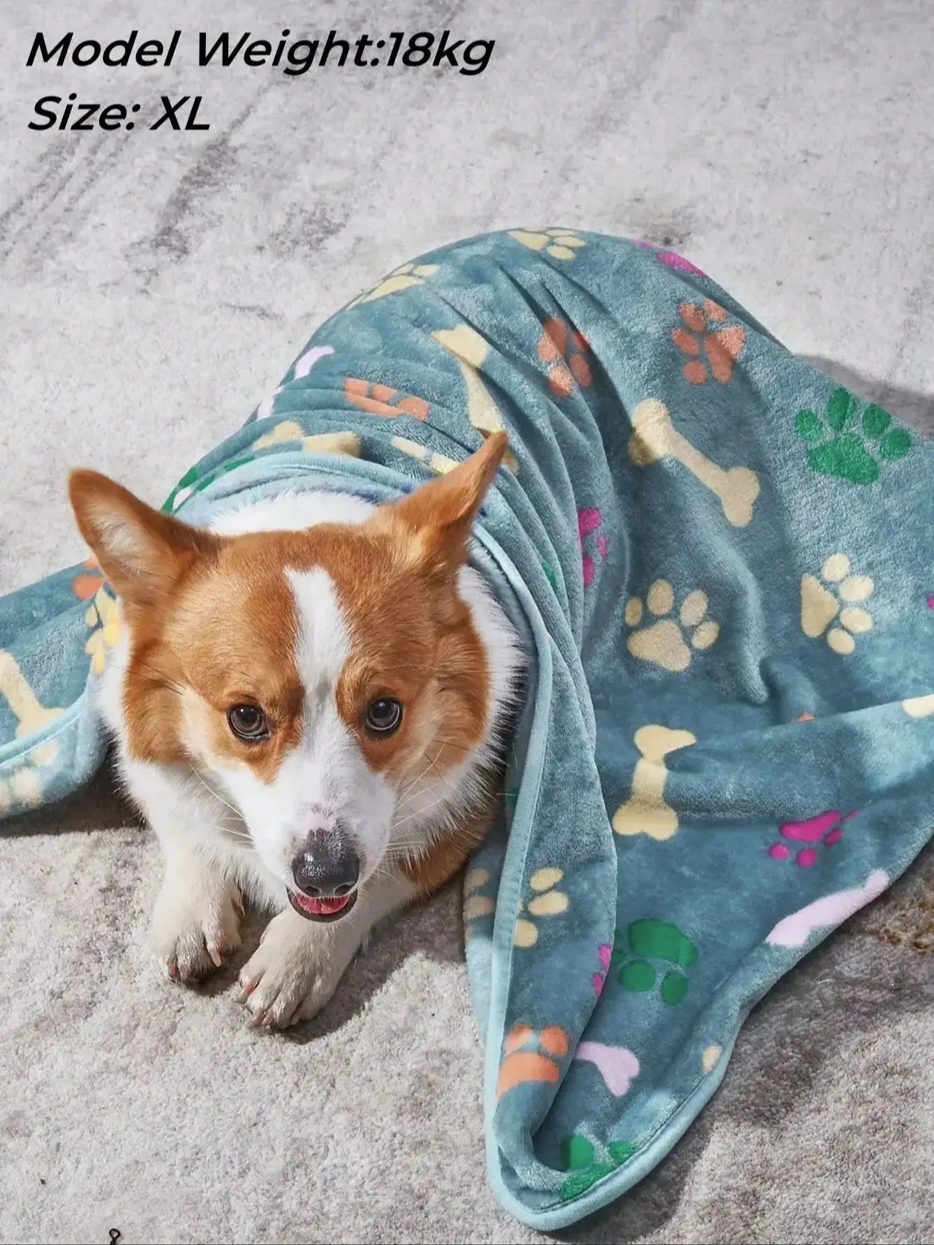 Soft Cozy Blanket