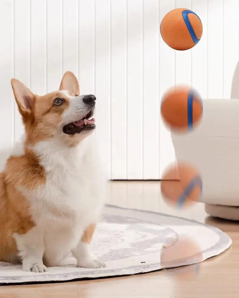 Fetch Ball
