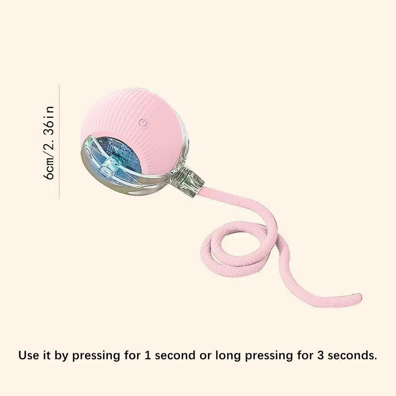 Interactive Toy