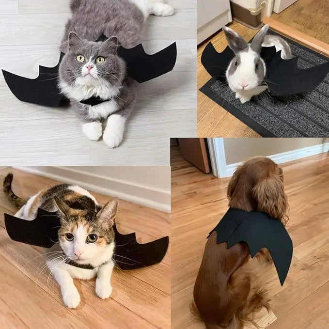 Halloween Costume