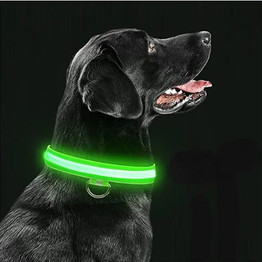 LED Pet Collar