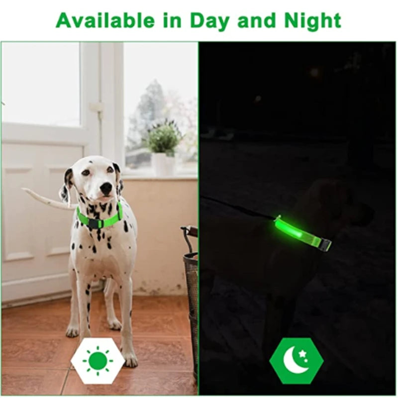 LED Pet Collar