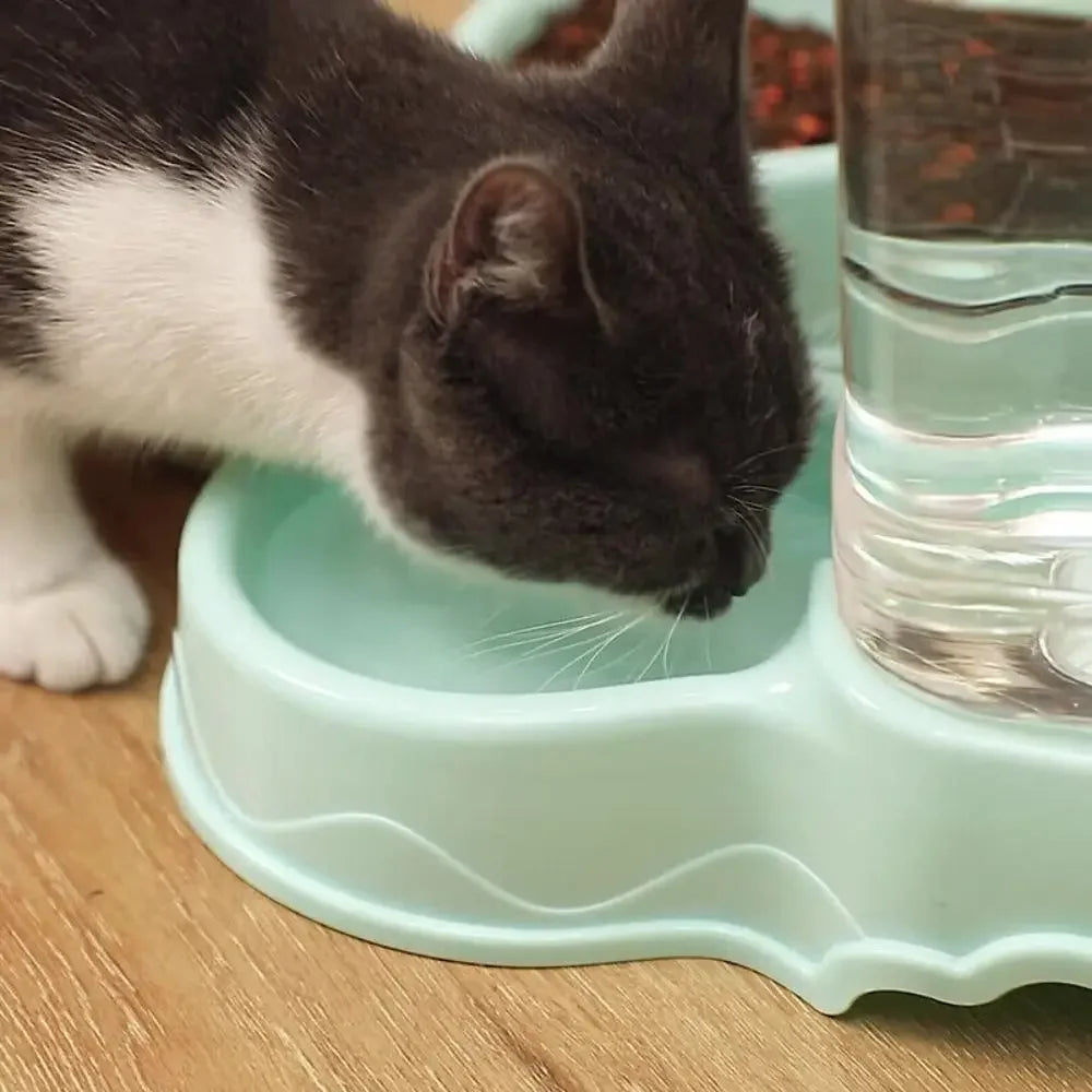 Pet Feeder