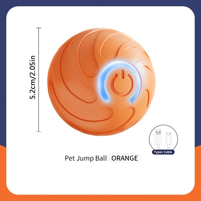 Interactive Toy