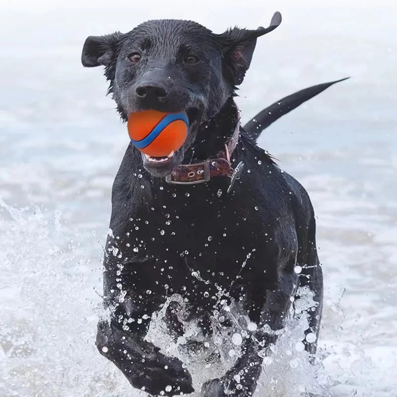 Fetch Ball