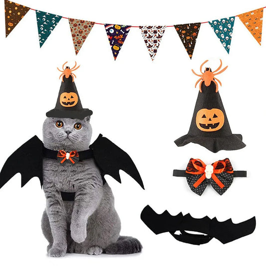 Halloween Costume