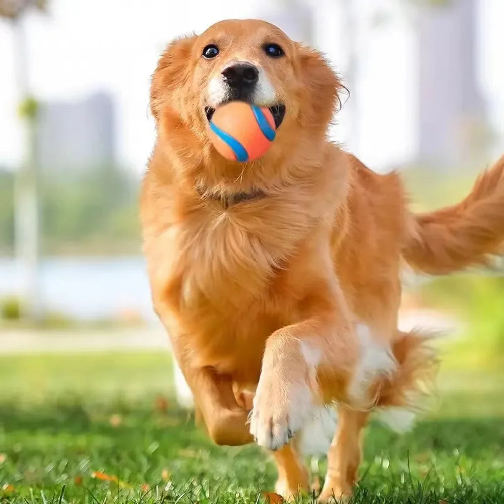 Fetch Ball