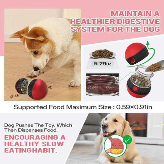 Interactive Pet Puzzle Toy