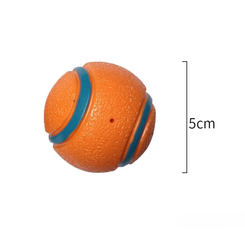 Fetch Ball