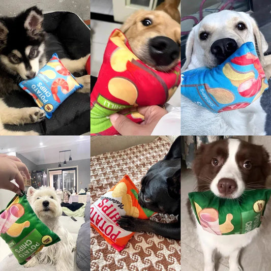 Squeaky Chew Toy