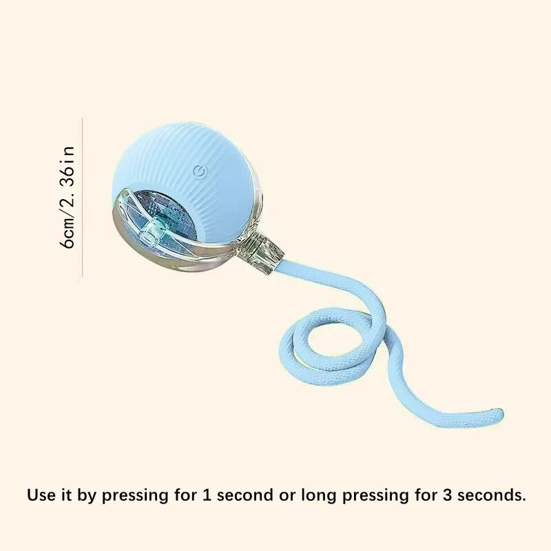 Interactive Toy