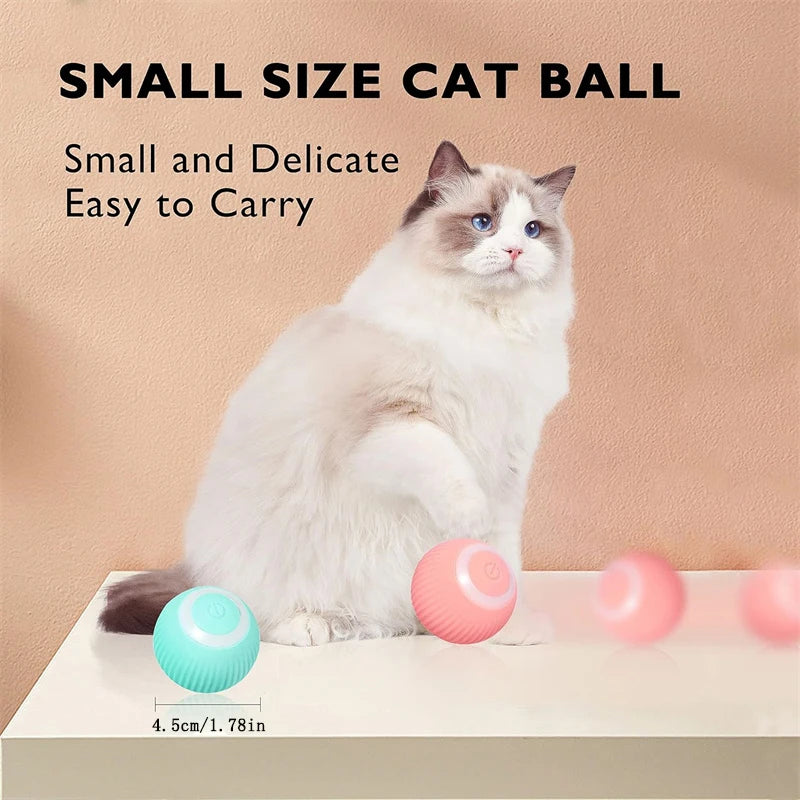 Interactive Toy