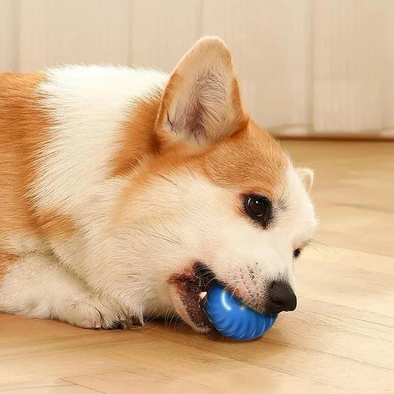 Interactive Toy