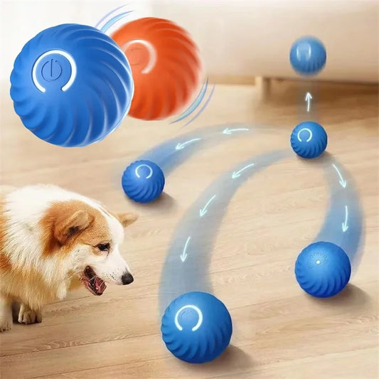 Interactive Toy