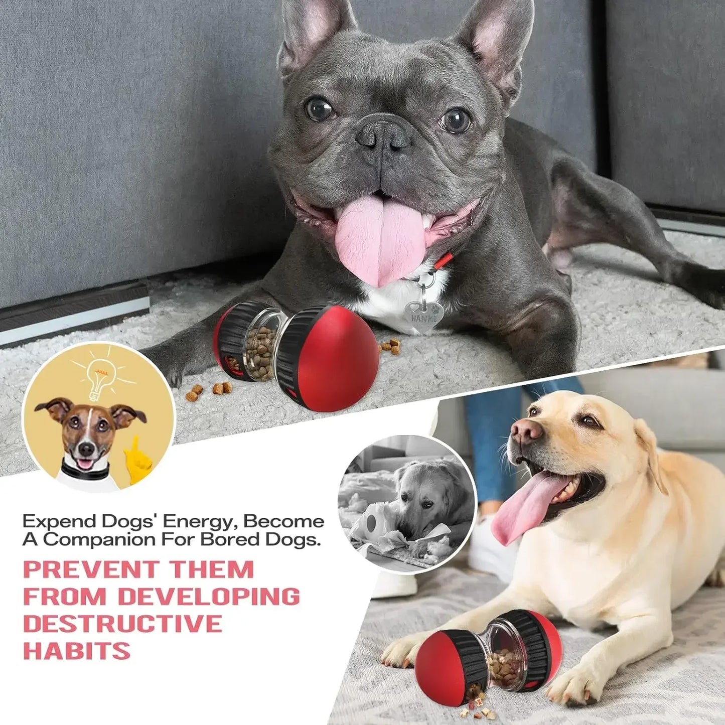 Interactive Pet Puzzle Toy