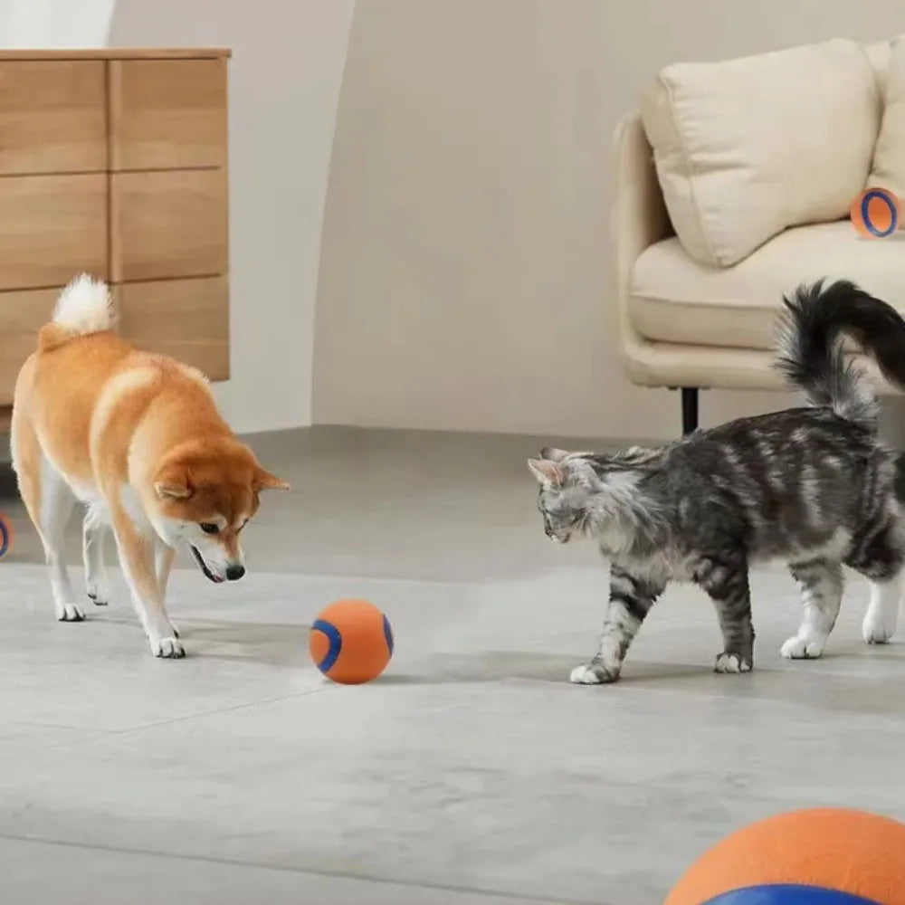 Fetch Ball