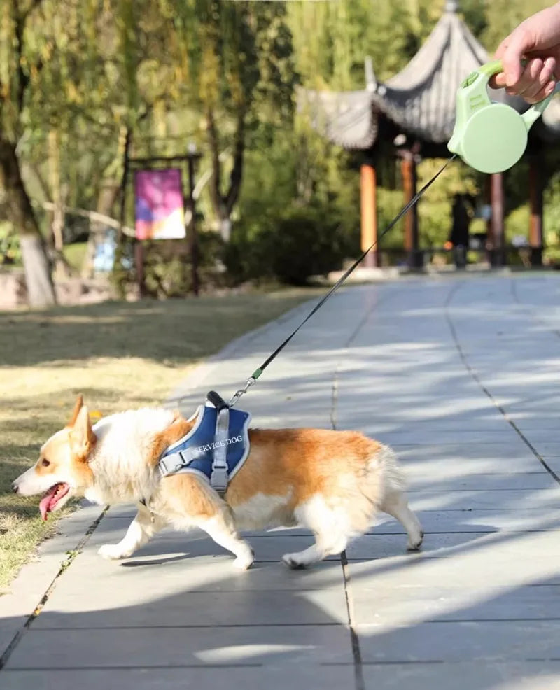 Retractable Pet Leash