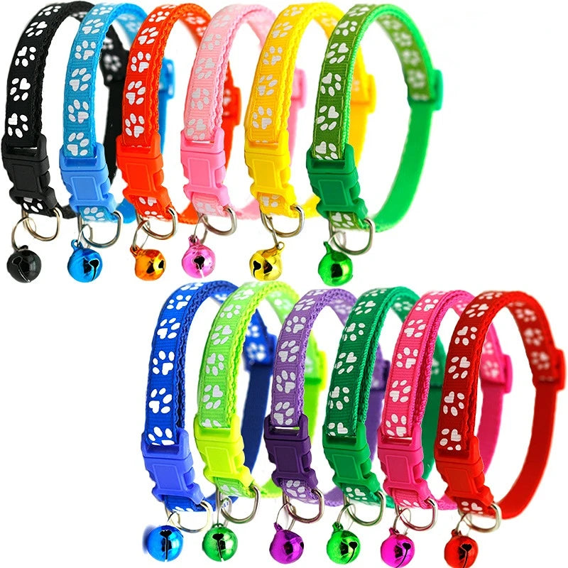 Pet Collar