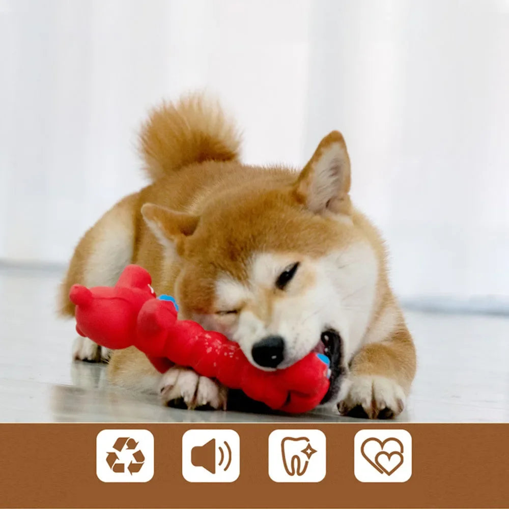 Chew Resistant Toy