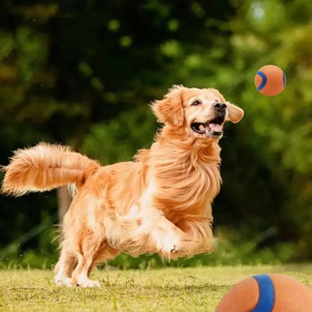 Fetch Ball