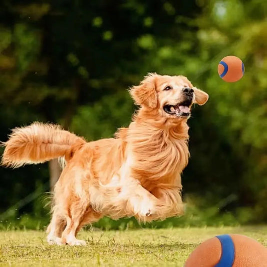 Fetch Ball