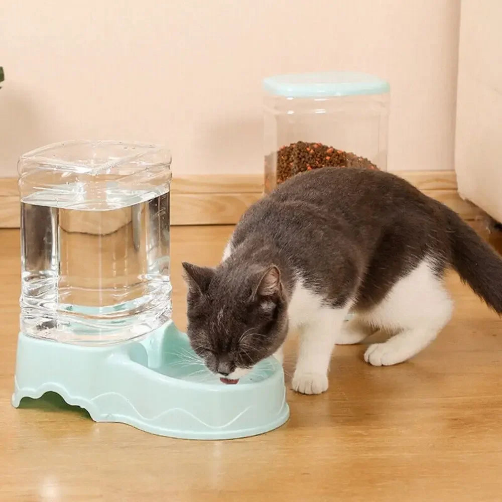 Pet Feeder