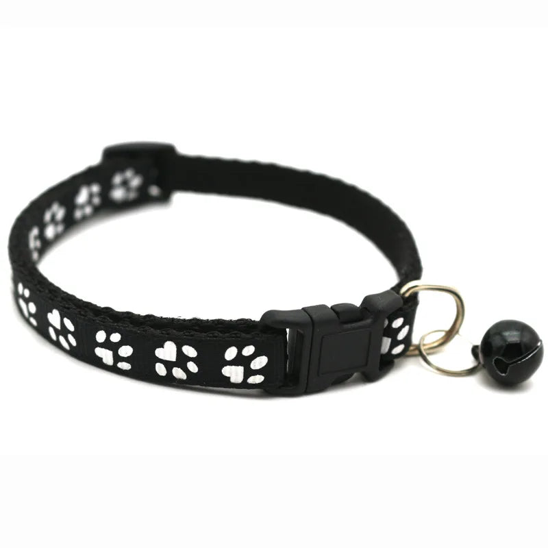 Pet Collar