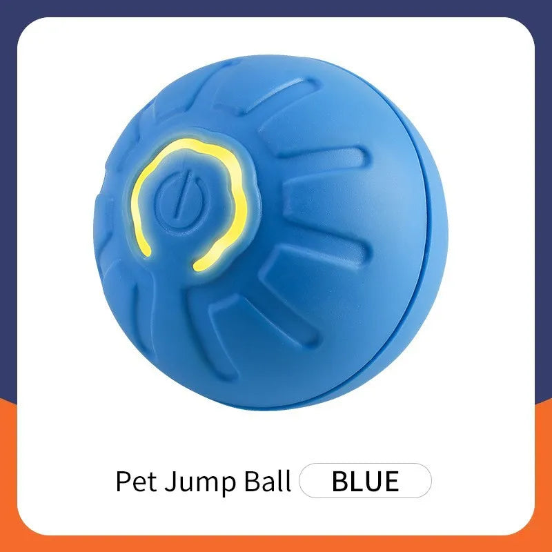 Interactive Toy