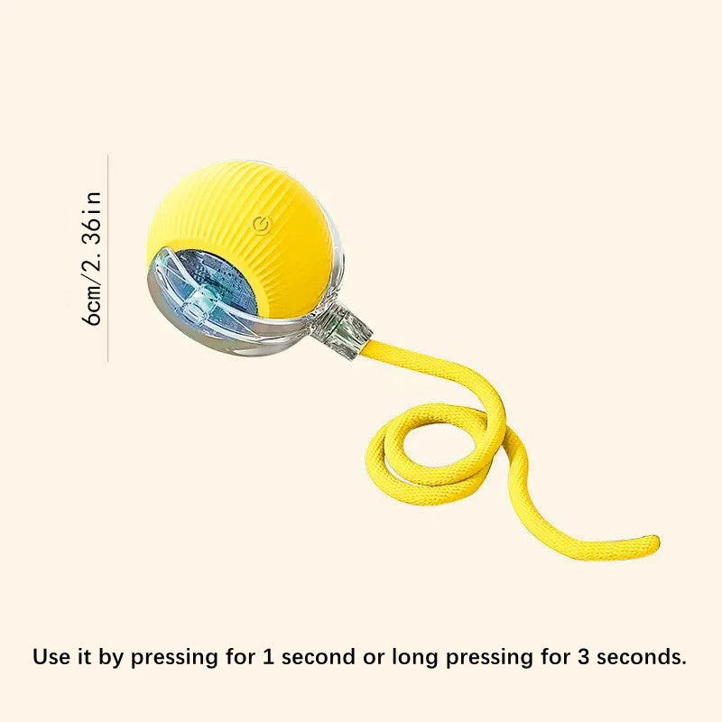 Interactive Toy