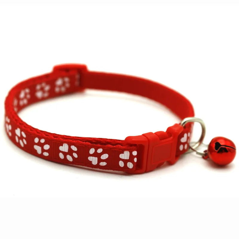 Pet Collar