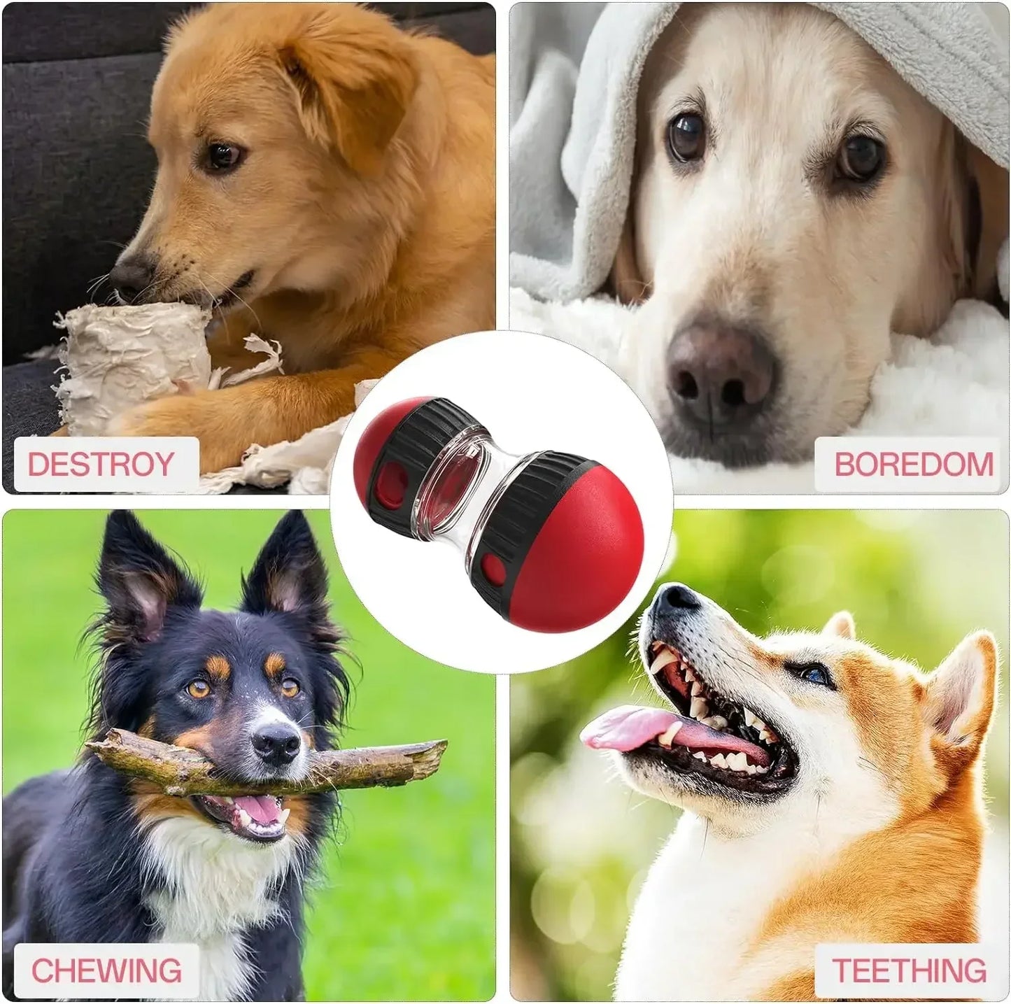 Interactive Pet Puzzle Toy