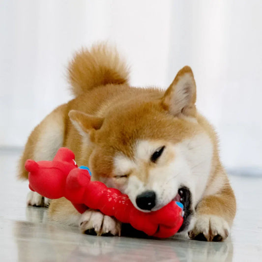 Chew Resistant Toy