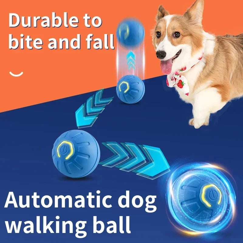 Interactive Toy